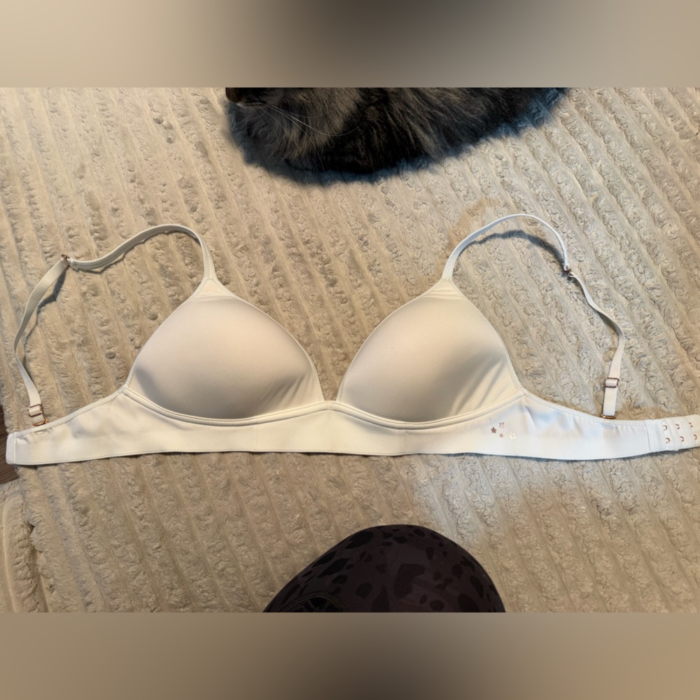 Aerie Classic White Bra